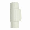 Thrifco Plumbing 1-1/2 Inch Threaded Spring Check Valve 6415184